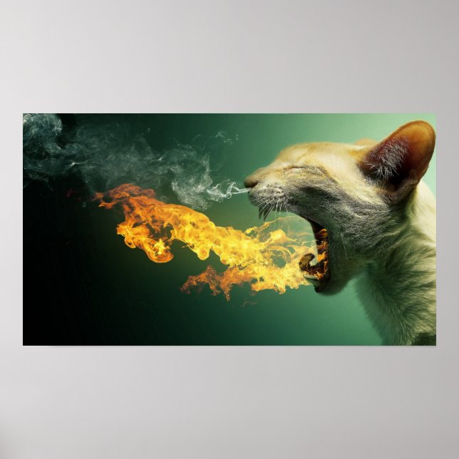 Poster sur le feu de respiration de chat (Devant)