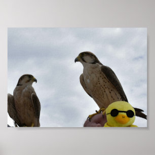 Poster sur le mauvais endroit dans le mauvais temp