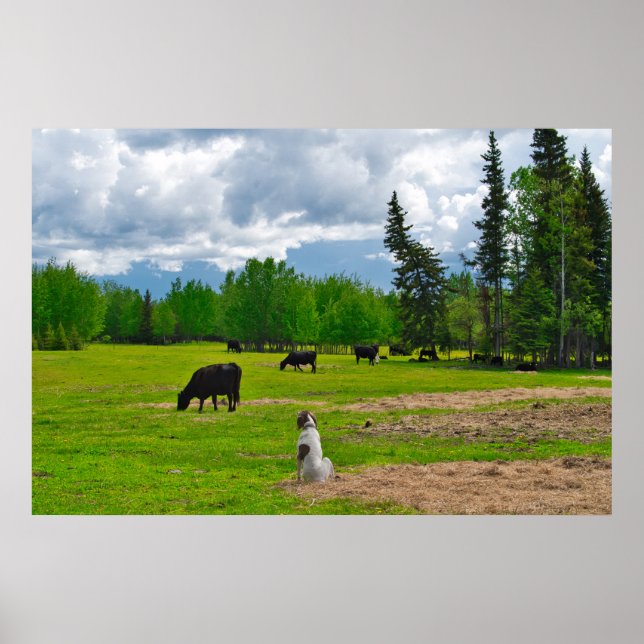 Poster sur le pâturage (Devant)