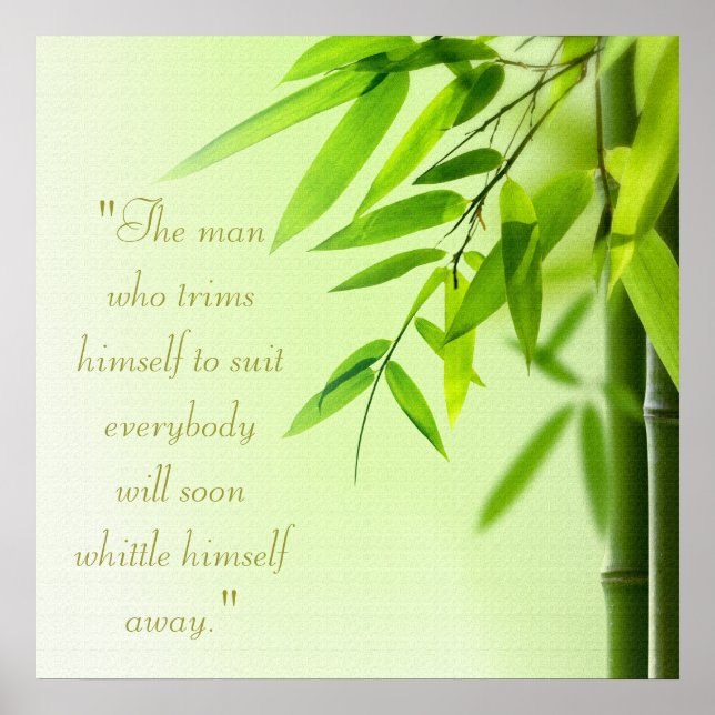 Poster sur le traitement des spas (Devant)