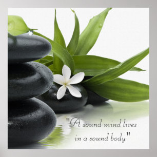 Poster sur le traitement des spas