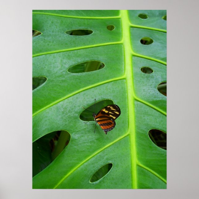 Poster Sur le vert (Devant)