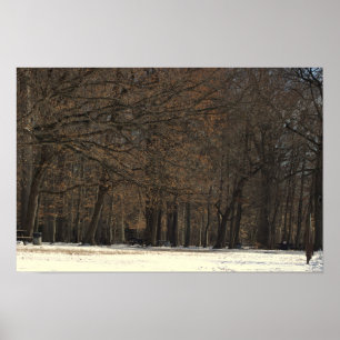 Poster sur les arbres du parc et la neige