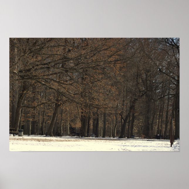 Poster sur les arbres du parc et la neige (Devant)