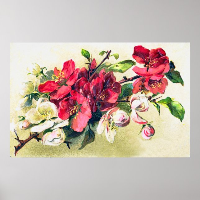 Poster sur les fleurs d'Apple (Devant)