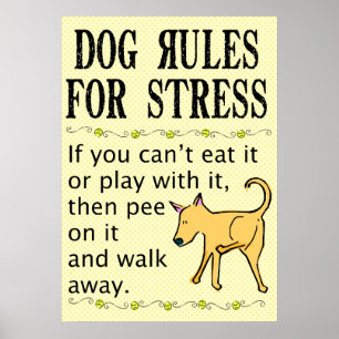 Poster sur les règles de chien pour le stress