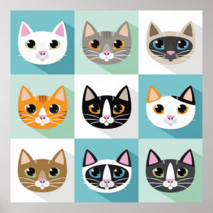 Poster sur les visages de chat