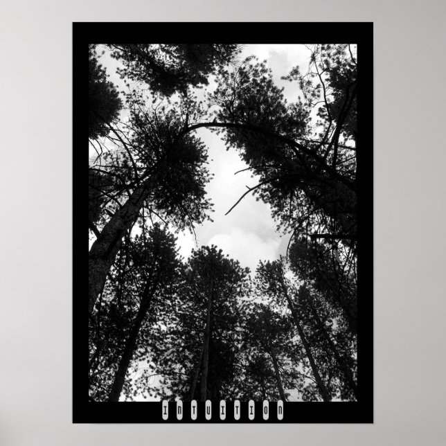 Poster sur l'intuition (Devant)
