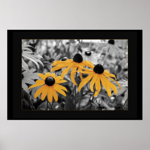 Poster Susan trois