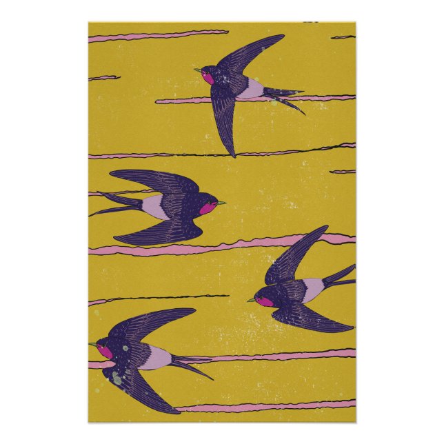 Poster Swallow Birds (Devant)