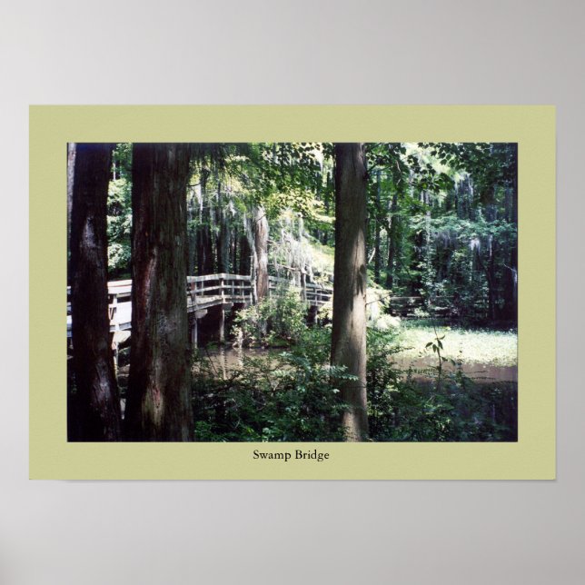 Poster Swamp Bridge (Devant)