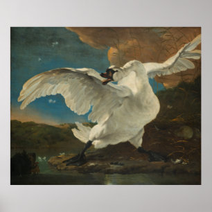 Poster Swan Asselijn