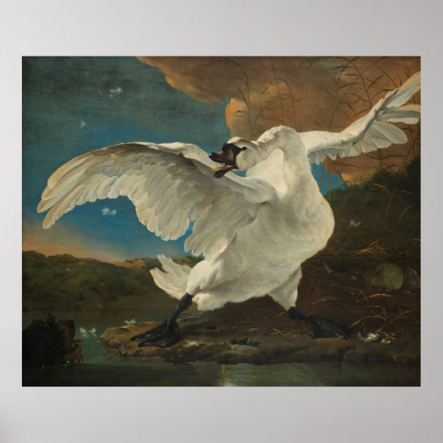 Poster Swan Asselijn (Devant)