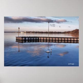 Poster Swan Madison Wisconsin
