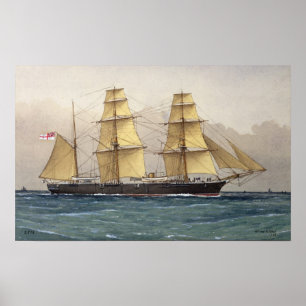 Poster Swan sauvage, 1906