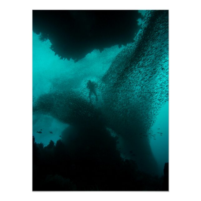 Poster Swarm of the Deep – Diver & Fish School Ocean (Devant)