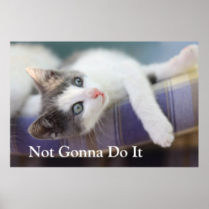 Poster Sweet Kitty Dans Lit Plaid