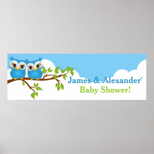 Poster Sweet Twins Owens Boy Baby shower bannière