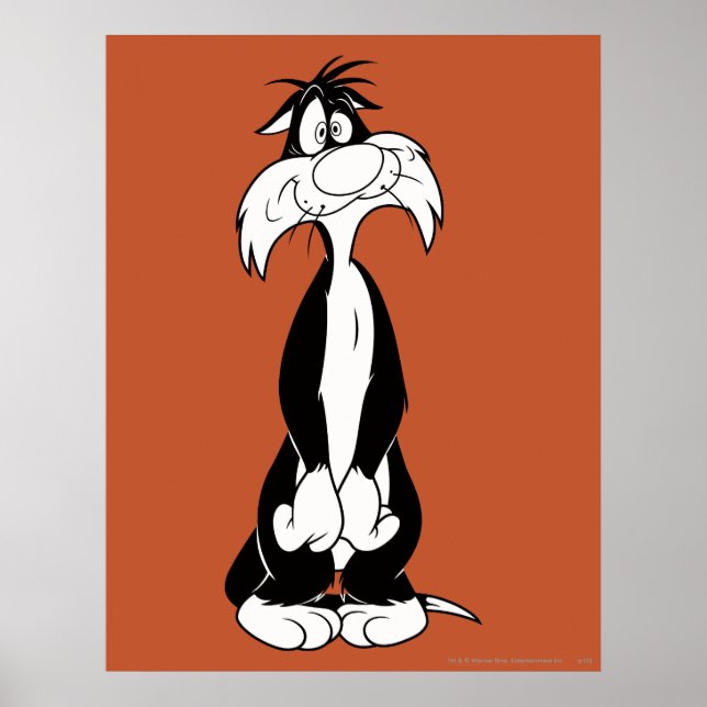 Poster SYLVESTER™ Silly (Devant)