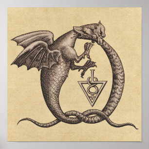 Poster Symbole du dragon d'alchimie du soufre et du mercu
