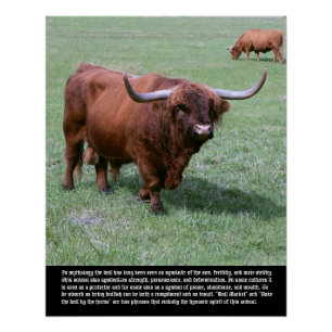 Poster Symbolisme Bull