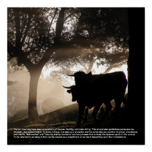 Poster Symbolisme Bull