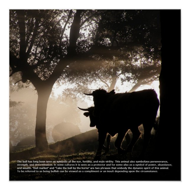 Poster Symbolisme Bull (Devant)
