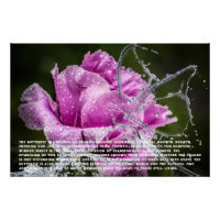 Poster Symbolisme Papillon