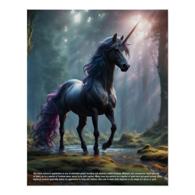 Poster Symbolisme Unicorne (Devant)