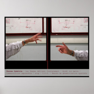 Poster Symétrie Fausse Symétrie Distort Symétrie