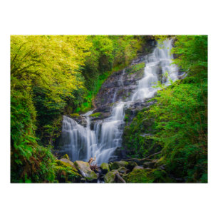 Poster Symphonie de la nature : les cascades de Killarney