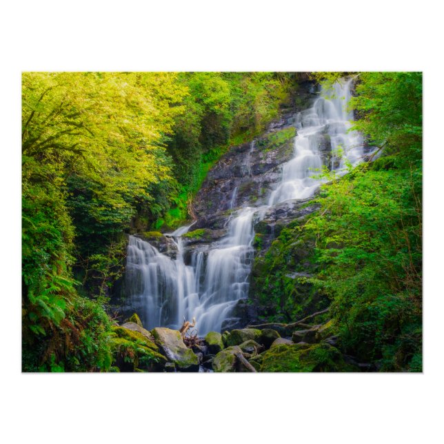Poster Symphonie de la nature : les cascades de Killarney (Devant)