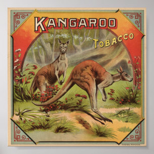 Poster Tabac 1900 de kangourou