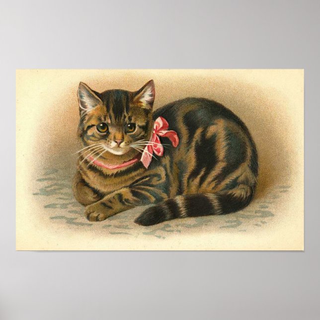 Poster "Tabby Cat" (Devant)