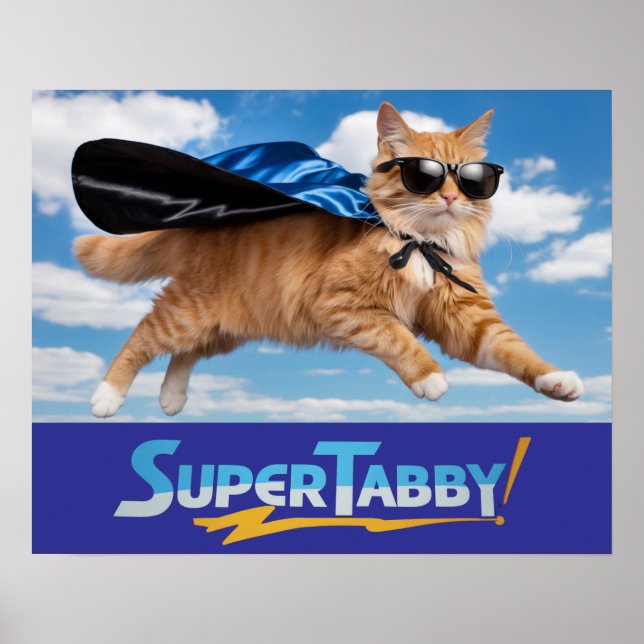 Poster Tabby Superhero (Devant)