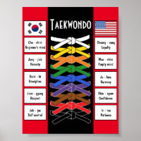Poster Taekwondo