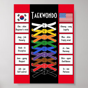 Poster Taekwondo