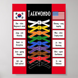 Poster Taekwondo