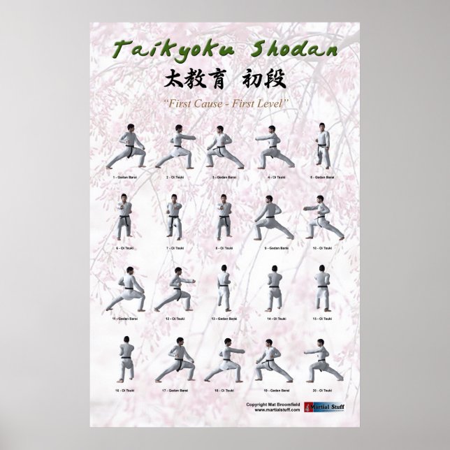Poster Taikyoku Shodan - Première Kata (Devant)