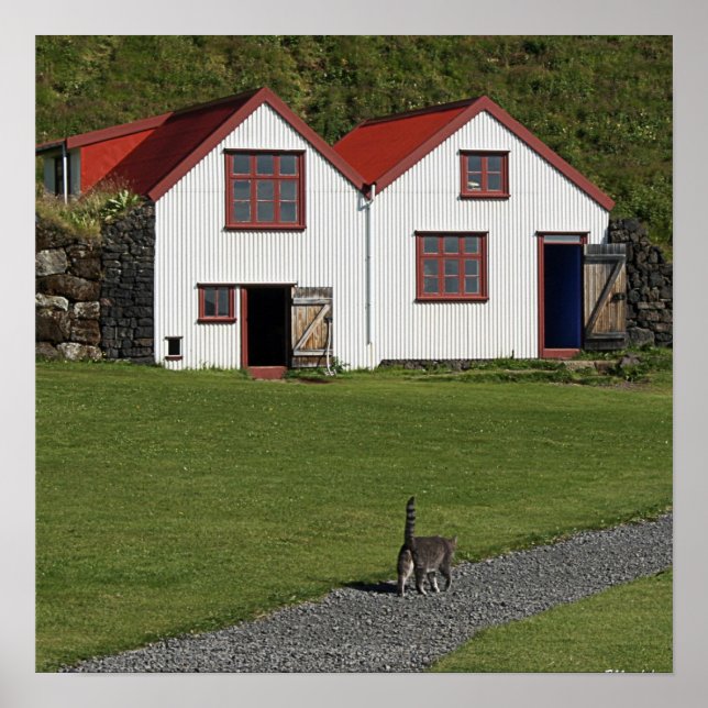 Poster Tail up Cat (Devant)