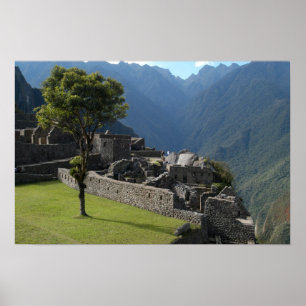 Poster Tailles ruineuses