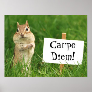 Poster Tamia de Carpe Diem avec l'affiche de signe