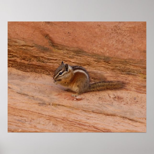 Poster Tamia de Zion sur les rochers rouges (Devant)