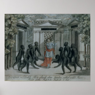 Poster Tamino joue la flûte magique