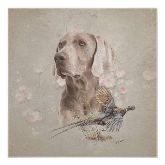 Poster Tapisserie Weimaraner (Devant)