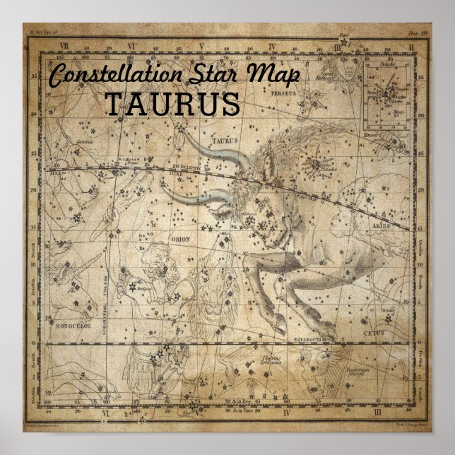 Poster Taurus Bull Constellation Star Carte mai (Devant)