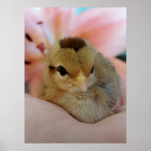 Poster Teeny in Hand