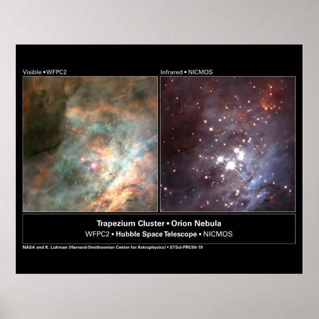 Poster Télescope Trapezium Cluster Hubble Photo (Devant)