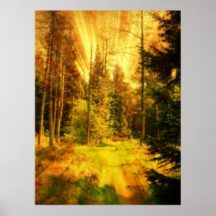 Poster Tempête de feu des bois d'automne.