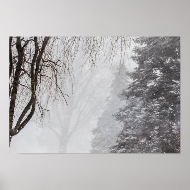 Poster Tempête d'hiver, Ohio. (Devant)